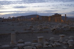 2011-03-19 - Syria, Palmyra