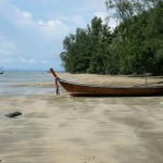 Łódź (długoogoniasta, ze schowanym ogonem).