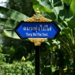 Thong Mai Phai Rd.