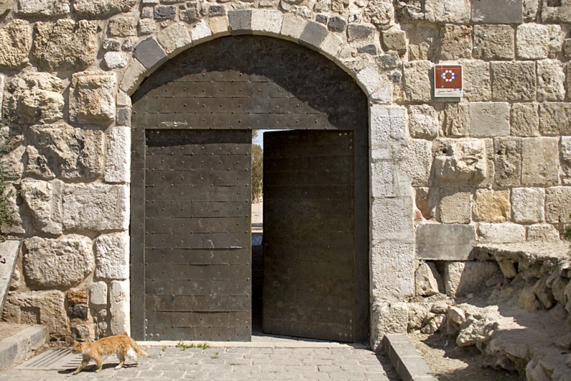 Damaszek, brama cytadeli.