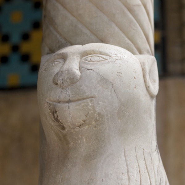 Zwierzoczłowiekoupiór.