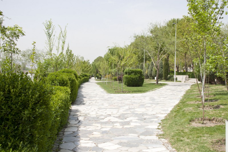 Zieleńce nad rzeką.