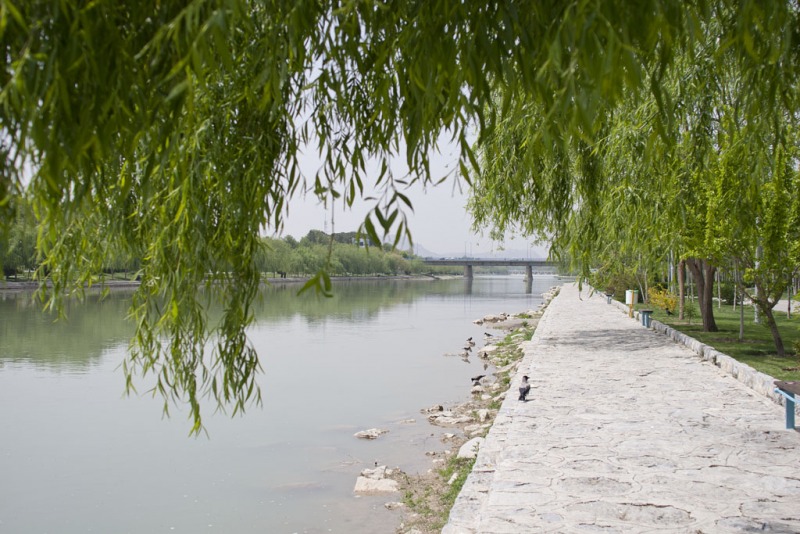 Zieleńce nad rzeką.