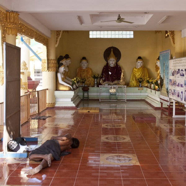 Kima na chłodnej posadzce pod okiem Buddów