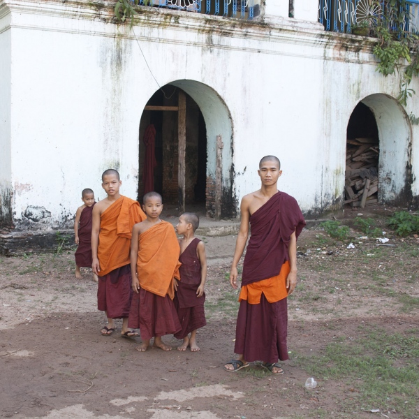 ...ale okazał się być zasiedlony przed tę wesołą gromadkę.