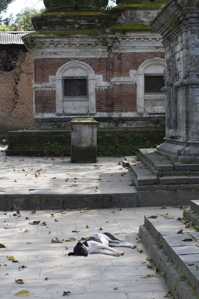 Kathmandu, świątynia Pashupatinath.