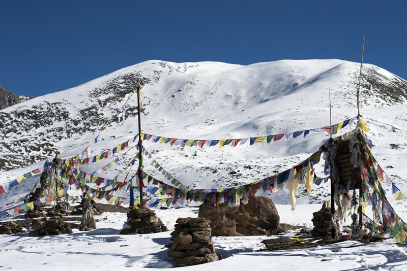 Chorteny nad jeziorem Tilicho.