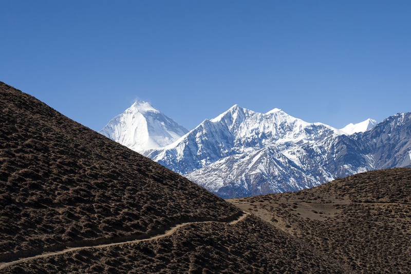 Dhaulagiri.