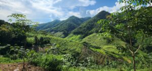 Laos, green hills